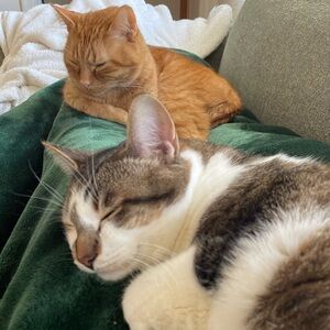 Meet your Posher, Brooke